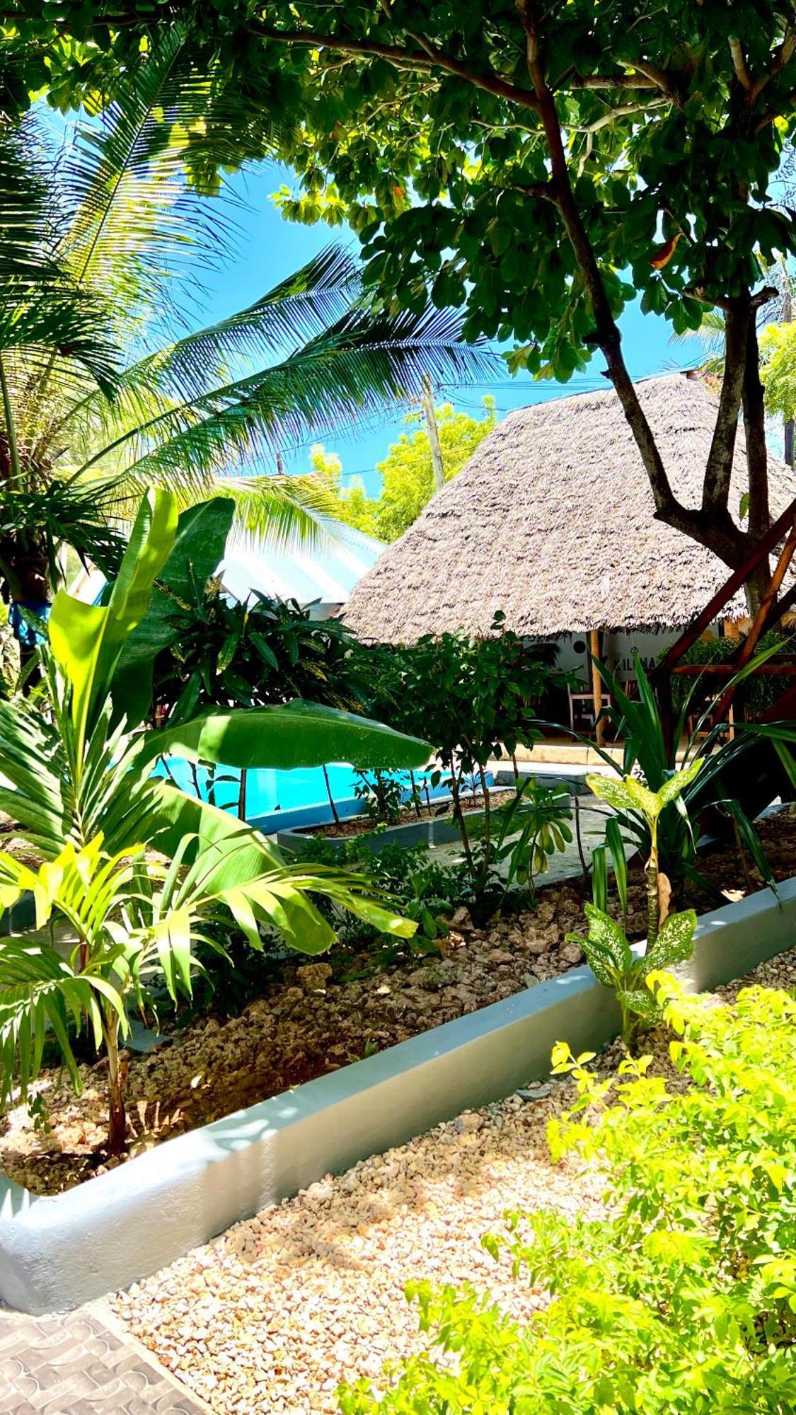 Kilimanjaro Bed & Breakfast Nungwi Exterior photo